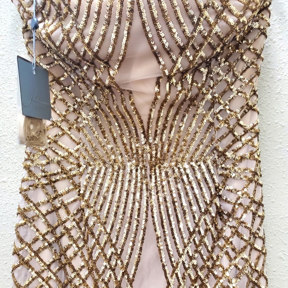 Elegant Champagne Gown